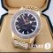 Часы Rado Captain Cook (19974)
