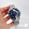 Часы Omega Seamaster (21081)