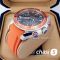Часы Omega Seamaster Planet Ocean (21093)