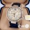 Часы Michael Kors MK2433 (22720)