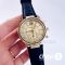 Часы Michael Kors MK2433 (22720)