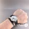 Часы Omega Seamaster Aqua Terra (25566)